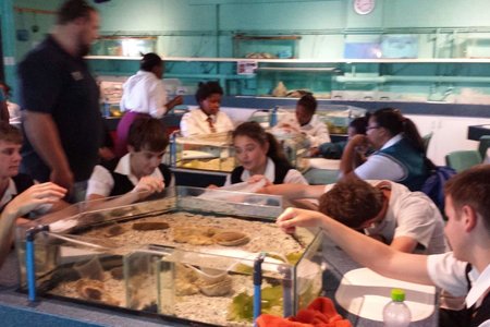 Gansbaai Kanadese studente besoek Gansbaai Academia 1_1